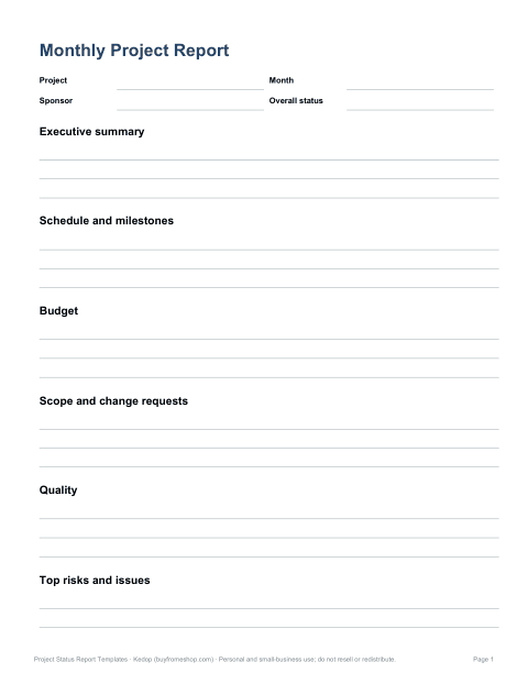 Preview of the first page of Monthly steering report (DOCX)