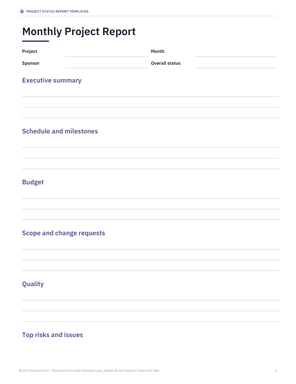 Preview of Printable Monthly Project Status Report